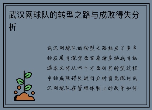 武汉网球队的转型之路与成败得失分析